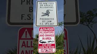 Alligator Warning Sign