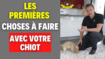 Comment accueillir un chiot de 2 mois