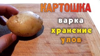 Картошка для рыбалки | Как правильно сварить | Что ловится | Как хранить