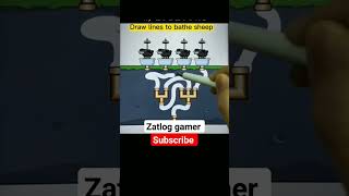 Cline Up The Shopes By Drawing Line Wash Them