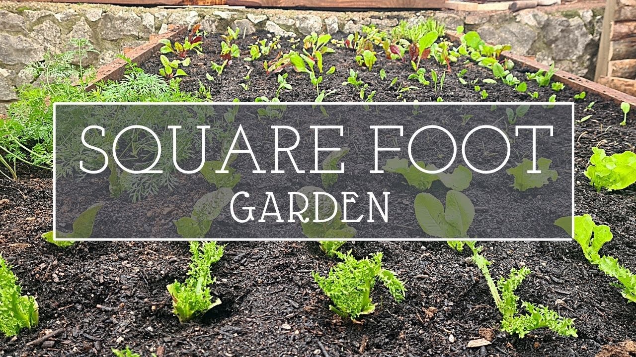 Как организовать огород? | Максимально эффективное использование пространства | SquareFootGarden
