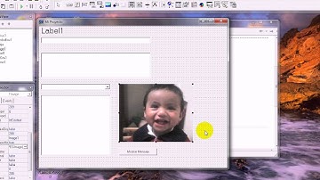 Escritura en componentes parte 2 (Borland C++ Builder 6)