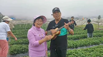 MAGTANIM HINDI BIRO LIVE COVER BY JOHNNY AND LIWAY AT BAGUIO CITY STRAWBERRY FARM