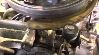 Healthy Johnson 40hp timing Plant