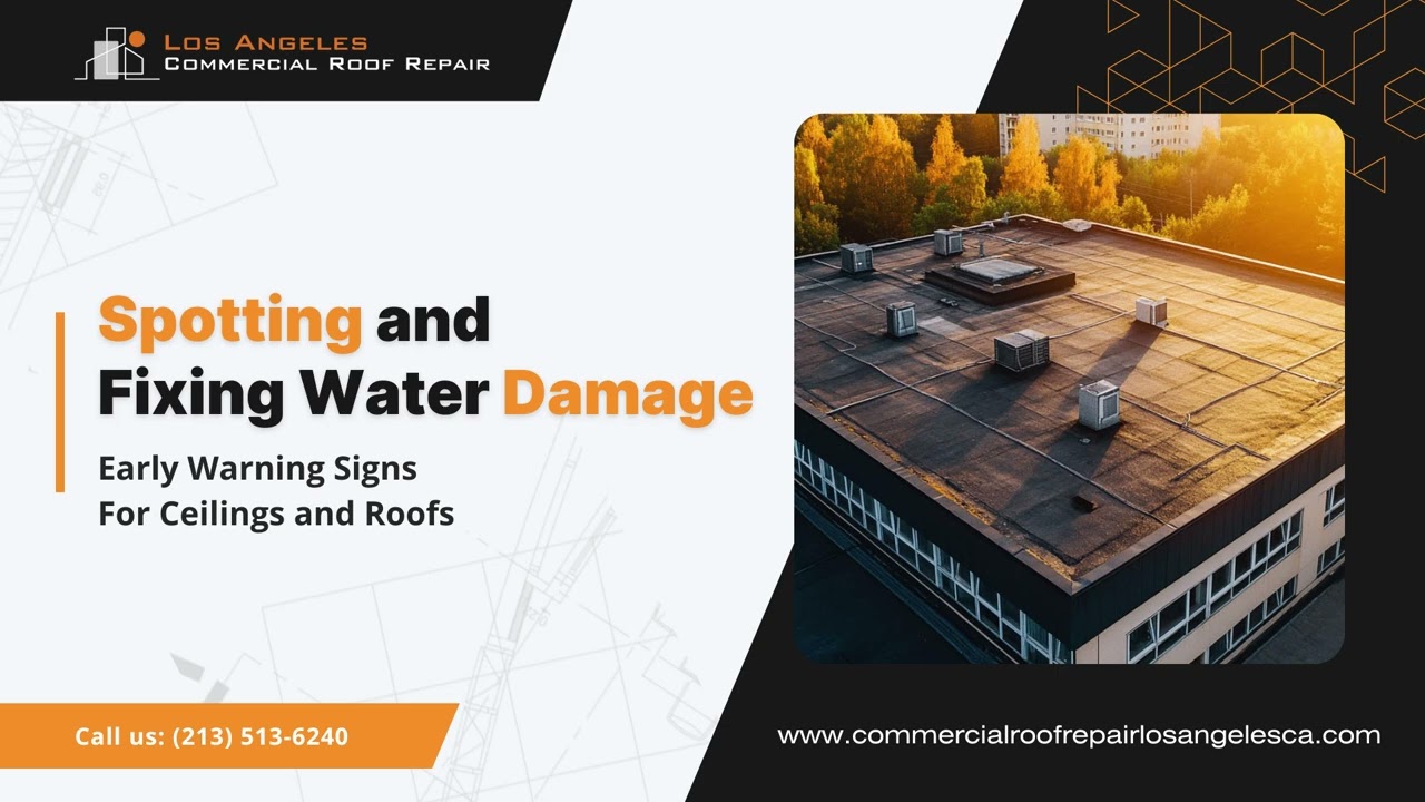 Spotting and Fixing Water Damage – Early Warning Signs for Ceilings and Roofs