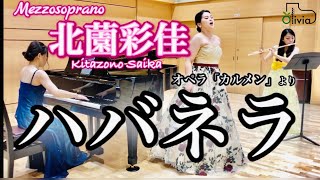 【コラボ】オペラ「カルメン」より ハバネラ/Carmen-Habanera /北薗彩佳