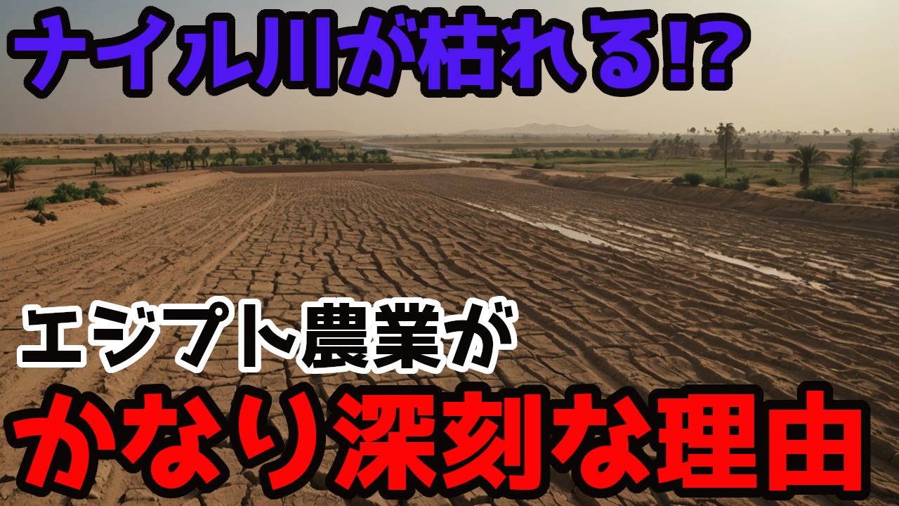 文明を生んだ川が...現代エジプト農業の危機