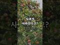 사과가 사라진다고?