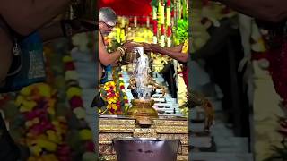 Download Lagu Ayyappa Swamy✨🙏🥹 #shorts #youtubeshorts #ayyappa #sabarimala #kerla #ayyappaswamy #ayyappan MP3 Download Lagu Ayyappa Swamy✨🙏🥹 #shorts #youtubeshorts #ayyappa #sabarimala #kerla #ayyappaswamy #ayyappan MP3