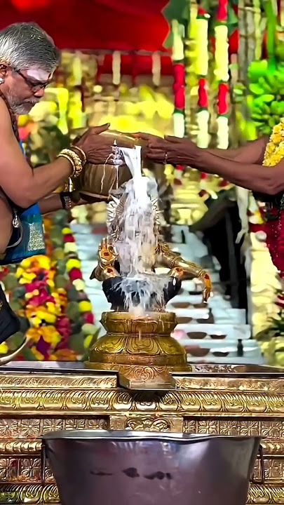 Ayyappa Swamy✨🙏🥹 #shorts #youtubeshorts #ayyappa #sabarimala #kerla #ayyappaswamy #ayyappan