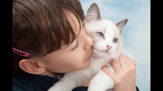 Documentary films Documentary 2017 - The Wonderful World of Cats (Nature/Wildlife Documentary)