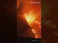 California's Fiery Summer: El Niño Sparks Early Wildfire Season!