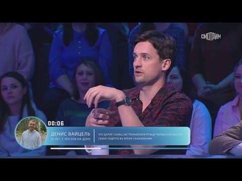 Пятеро на одного: Дмитрий Колдун (2024)