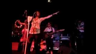 birds fly away theresa andersson 4