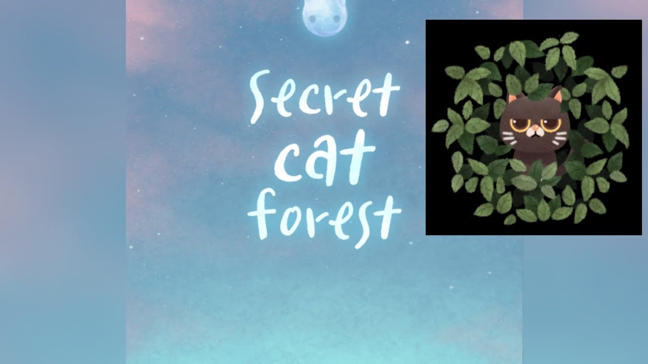 Empezamos desde el principio. Secret Cat Forest YouTube