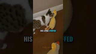 This Cat Has Something More Precious Than Food