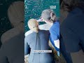 Shedd Aquarium Makes History With First-Ever Successful Surgery on Beluga Whale
