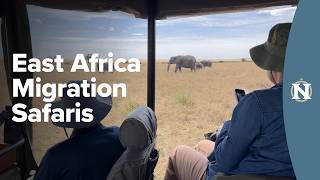 East Africa’s Great Migration: A Nat Hab Traveler Story