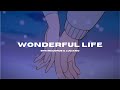Wonderful life  6pm records  luciano slowed  reverb