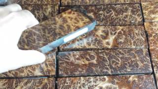 10.2 Old Growth Redwood Burl