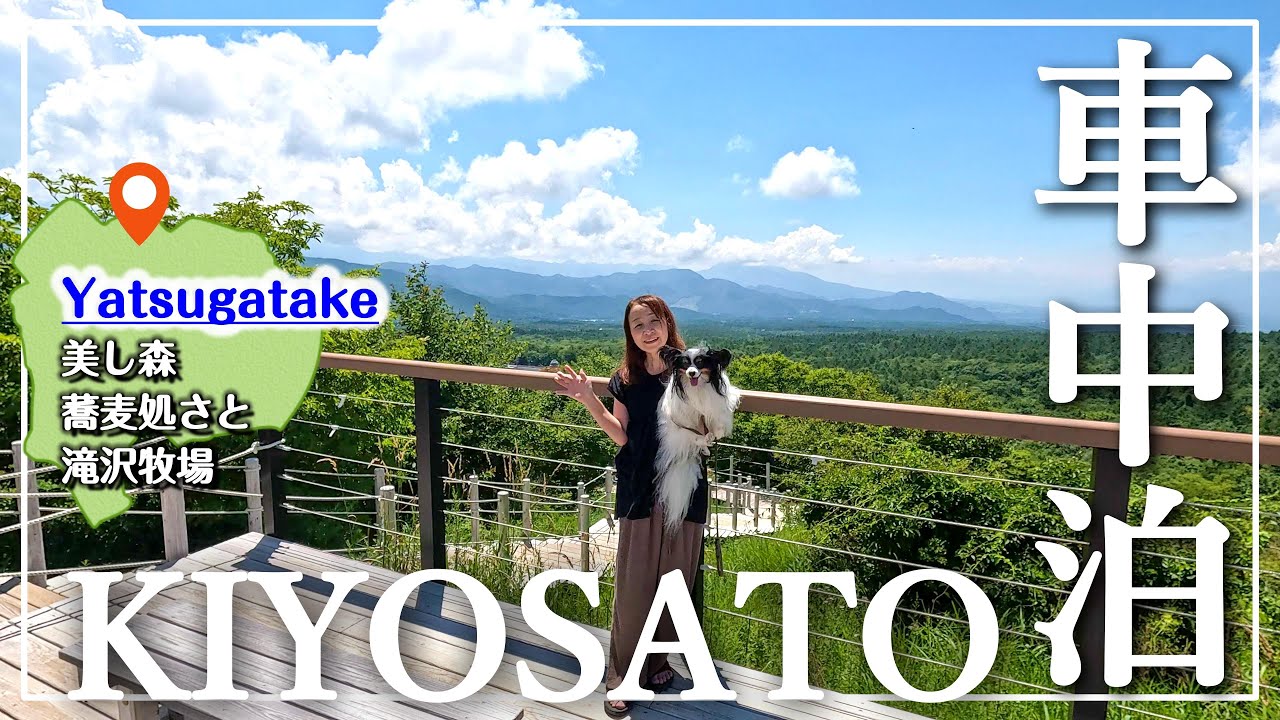 【山梨県 車中泊旅】愛犬と楽しめるスポットを紹介｜清里高原｜美し森展望台から望む夏の八ヶ岳｜滝沢牧場のアイスが最高