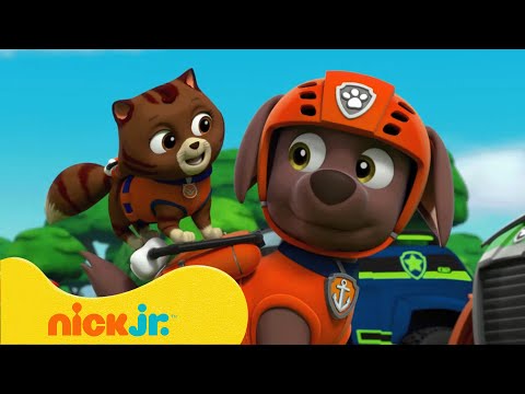 Щенячий патруль | В поисках призраков в лесу! | Nick Jr. Cyrillic