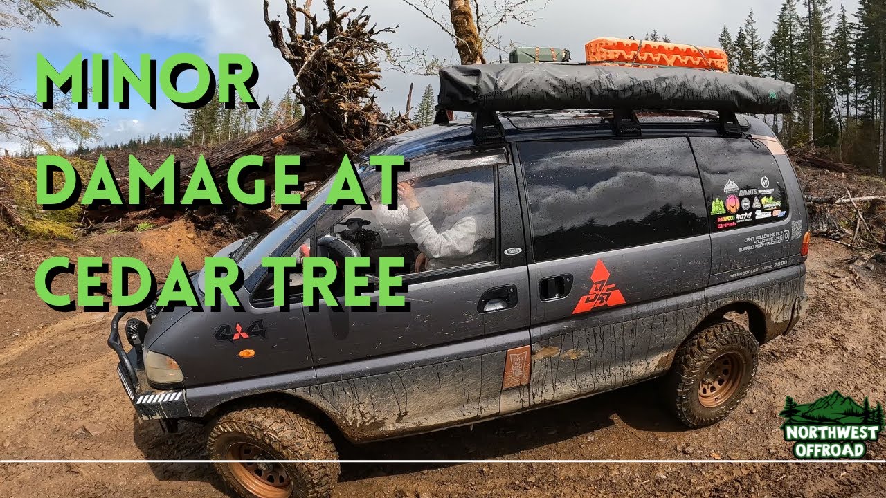 Pajero, Delica and Fifteen Others Take on Cedar Tree at Brown's Camp OHV with Some Damage