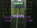 일상에서 찾는 수행, 평범한 순간을 특별하게 만드는 방법 #붓다의가르침 #자기수행 #부처님말씀 #좋은글 #명언 #지혜 #인생조언 #마음의소리로쓰는글