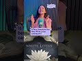 Is this the best White Lotus casting yet?🤯👀 #whitelotus #newgirl #hbomax