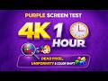 Purple Screen Test 4K – 1 Hour – Color & Dead Pixel Test