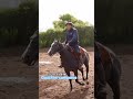 Polito ulloa, el frio los pone de lomo duro😅🐴