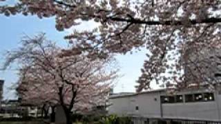 20110409
