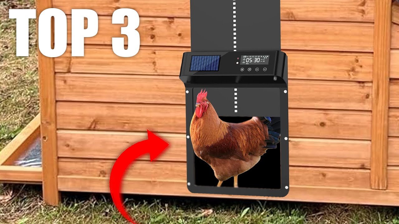 Top 3 des Meilleures Portes Automatique pour Poulailler !