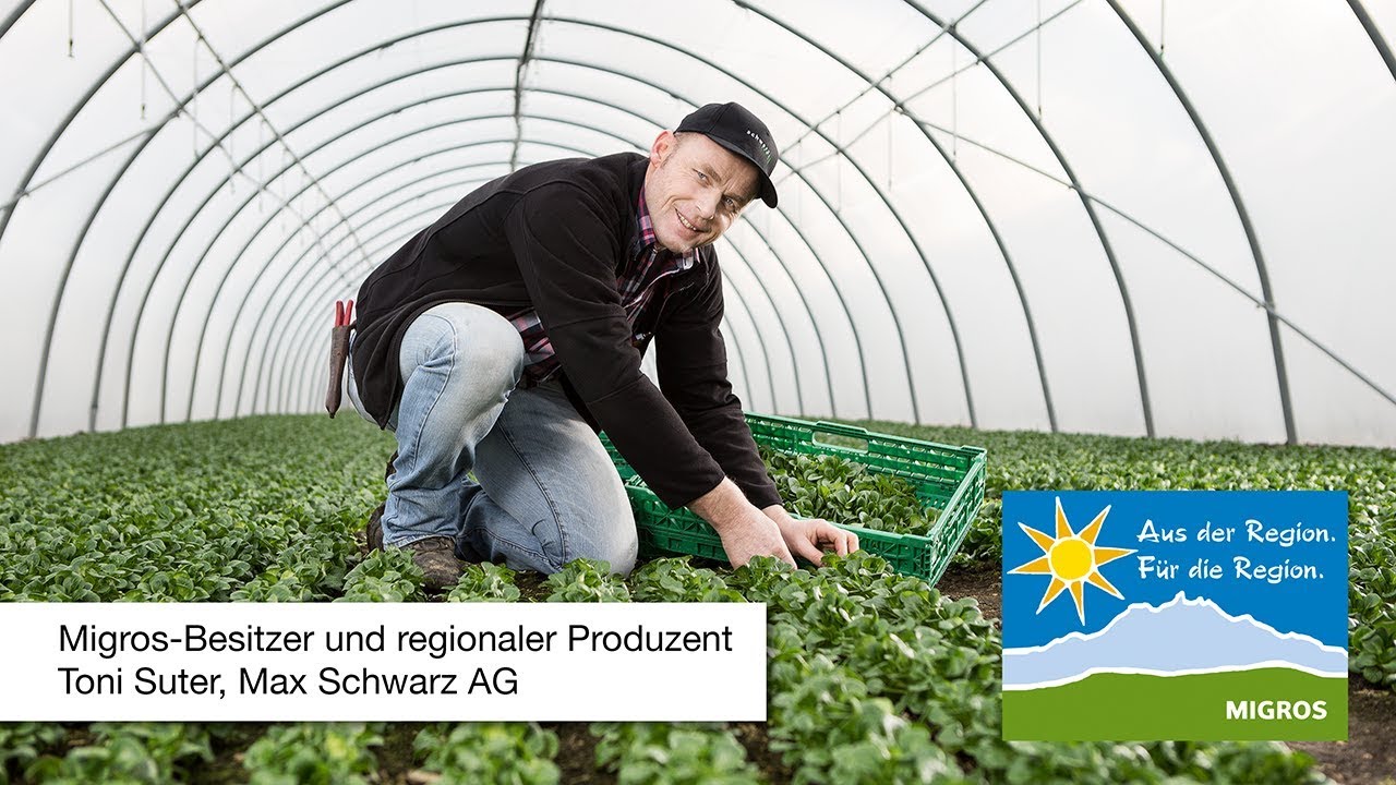 «Aus der Region» Nüsslisalat von Toni Suter