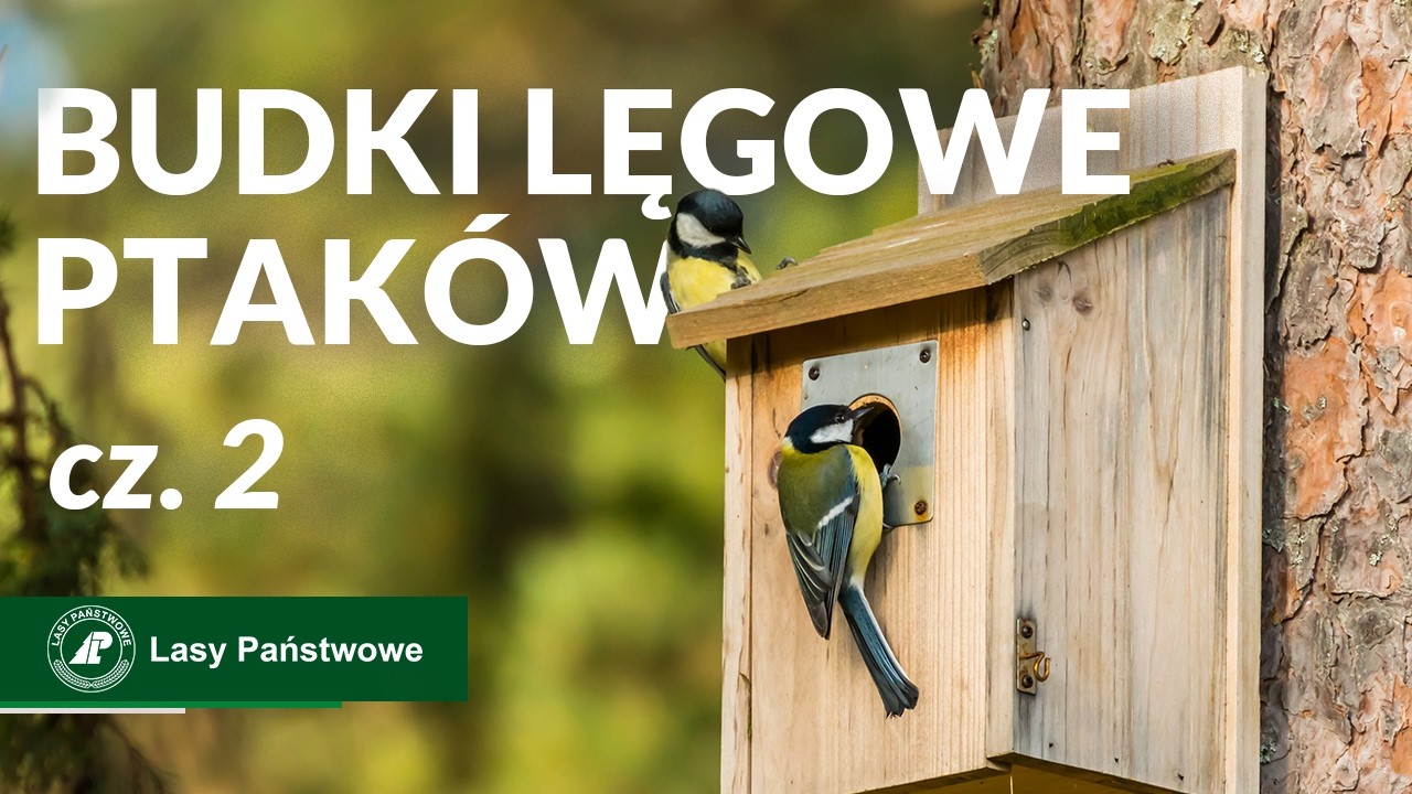 Budki lęgowe ptaków   stosowanie, montaż, konserwacja