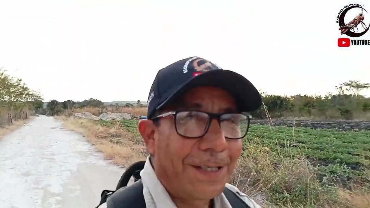 Vean amigos donde estuvimos José Berlín dónde hay siembra de melón y sandía 🌞🍉🍈😳🚶