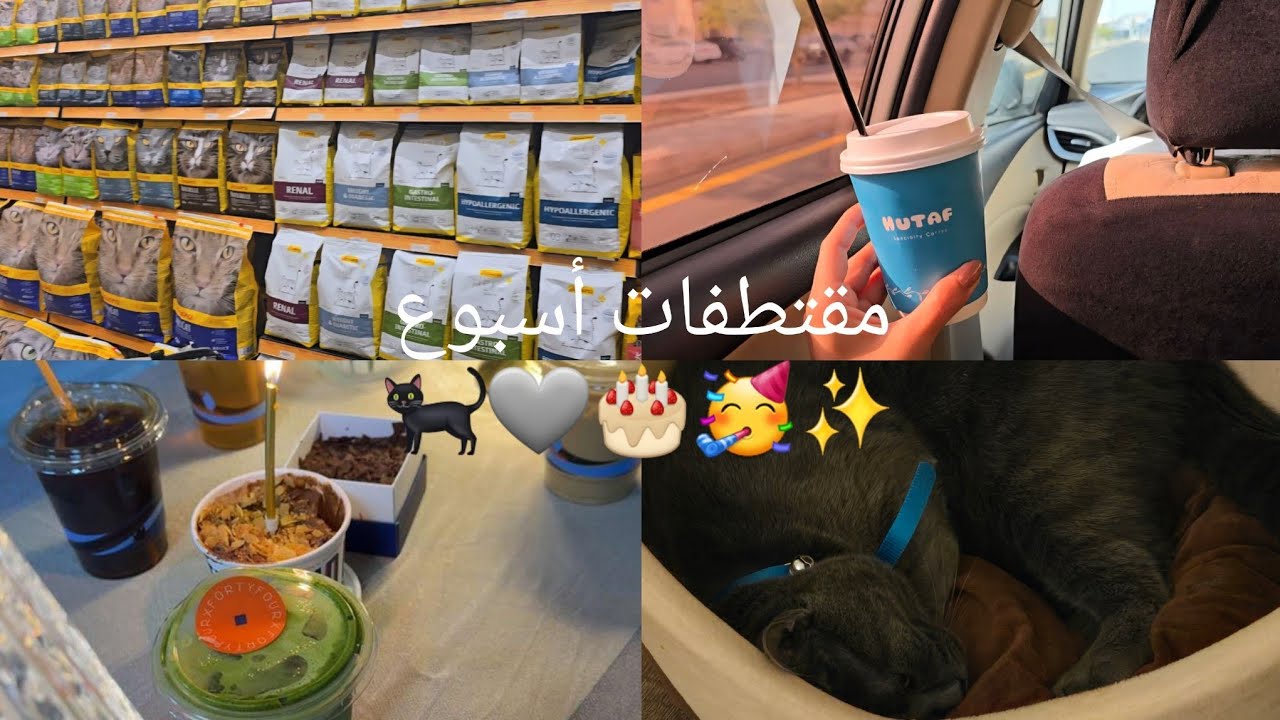 فلوق لأسبوع حافل| تبنيت قط🐈‍⬛🩶✨️