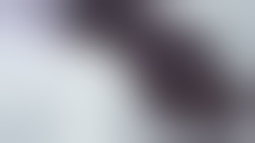 IDFA 2025 | Trailer | Some of You Fucked Eva