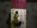 Amazing Floor Tiles Install And Clear #design #wall #construction #automobile