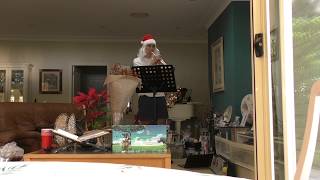 Merry Christmas and a Happy New Year!! 2019
