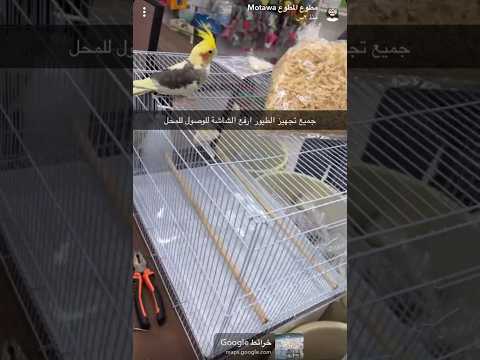 تجهيز قفص انتاج ببغاء الكروان وجميع الطيور