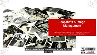 Analyse cloud computing disaster recovery techniques (LU4/LO1)