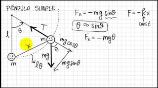 Physics2-Unit2-Simple Pendulum