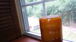 Adding To The Bee Bread