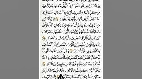 سورة البقرة 167. 168.  169.