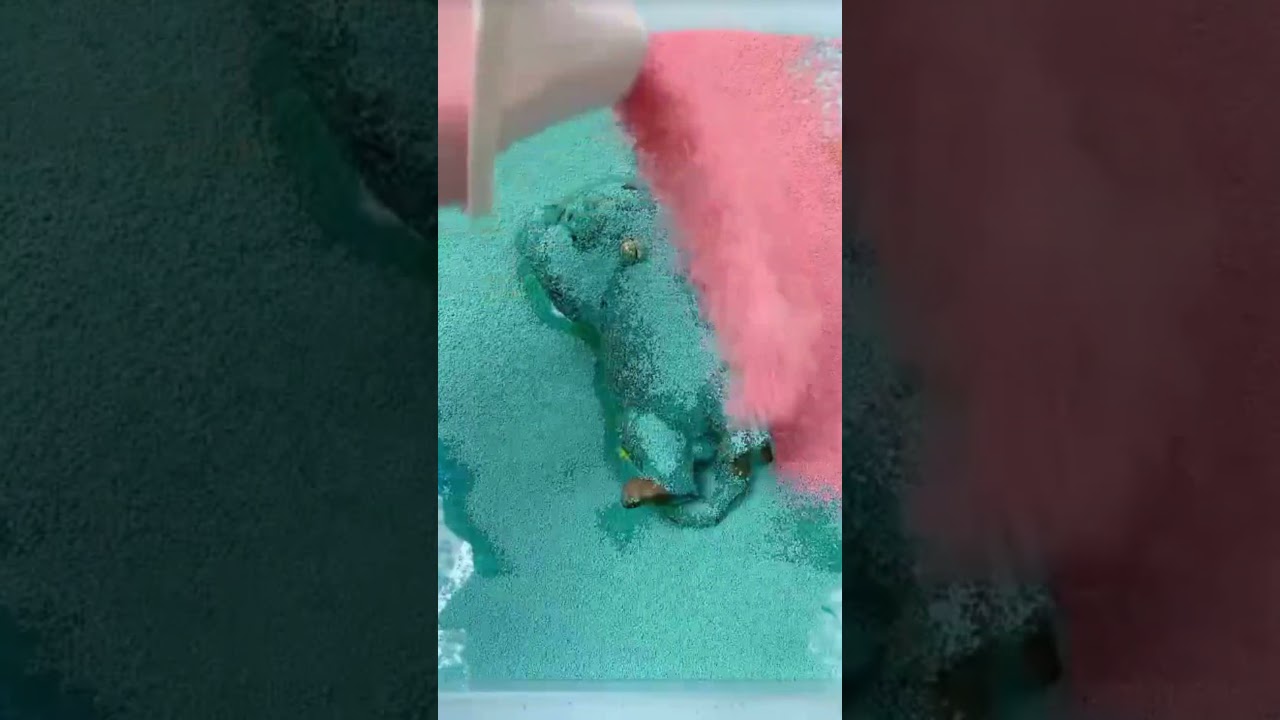 I Tried Washing the DIRTY Squishy Cat Toy 🐱✨ 