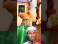 Emotional Islamic Message About Life & Death | Heart Touching Islamic Reminder”#shorts