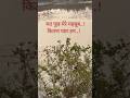 कितना प्यार हम.!