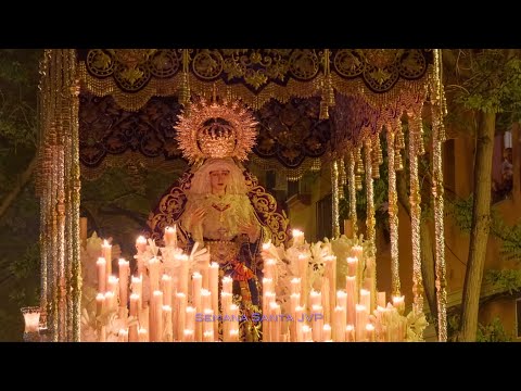 Real, Ilustre y Fervorosa Hermandad Sacramental de la Pura y Limpia Concepción de la Santísima Virgen María, Ánimas Benditas del Purgatorio y Cofradía de Nazarenos del Santísimo Cristo de la Salud, María Santísima del Refugio, Santa Cruz, Nuestra Señora del Patrocinio, Santa Bárbara y San Bernardo