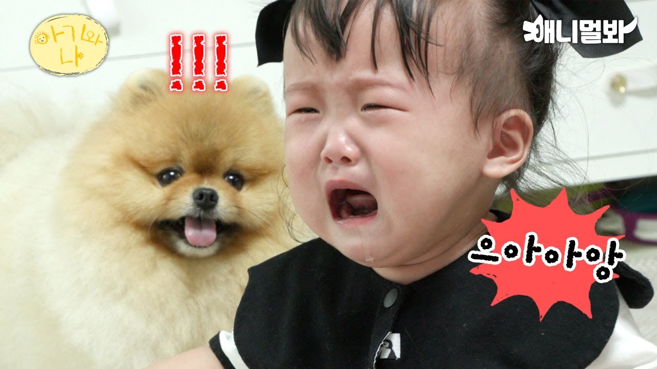 Собака утешает плачущего малыша лол